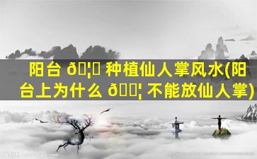 阳台 🦆 种植仙人掌风水(阳台上为什么 🐦 不能放仙人掌)